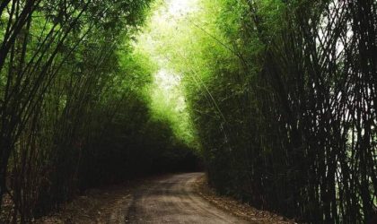 “ໄປບໍ່ກັບ ຫລັບບໍ່ຕື່ນ ຟື້ນບໍ່ມີ ໜີບໍ່ພົ້ນ” ເຖິງເວລາເຂົ້າໃຈກັນໃໝ່ແລ້ວ