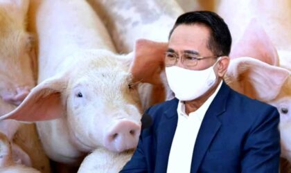 ໄທສັ່ງຫ້າມການສົ່ງອອກໝູເປັນເວລາ 3 ເດືອນ  ເນື່ອງຈາກມີການຂາດແຄນໝູຕະຫລາດພາຍໃນ