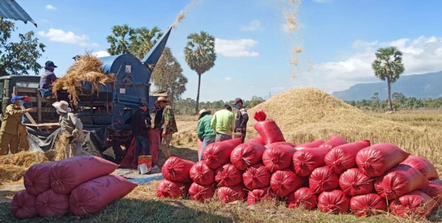ປີ 2021 ແຂວງອັດຕະປື ຜະລິດເຂົ້າໄດ້ 87 ພັນກວ່າໂຕນ ປີ 2021 ແຂວງອັດຕະປື ຜະລິດເຂົ້າໄດ້ 87 ພັນກວ່າໂຕນ