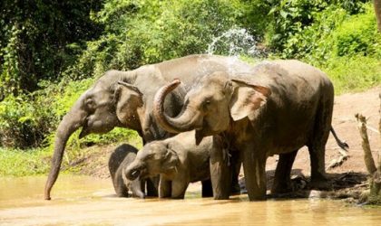 ໄຊຍະບູລີ ກໍານົດເຂດ ແລະ ເສັ້ນທາງທ່ອງທ່ຽວສີຂຽວ