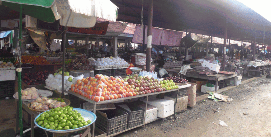 ລັດຖະບານ ຫ້າມນຳເຂົ້າສິນຄ້າກະສິກຳ ແລະ ສັດບາງຊະນິດ ລັດຖະບານ ຫ້າມນຳເຂົ້າສິນຄ້າກະສິກຳ ແລະ ສັດບາງຊະນິດ