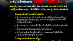 ຄວາມໝາຍຂອງການປັ່ນຕະຫລາດ