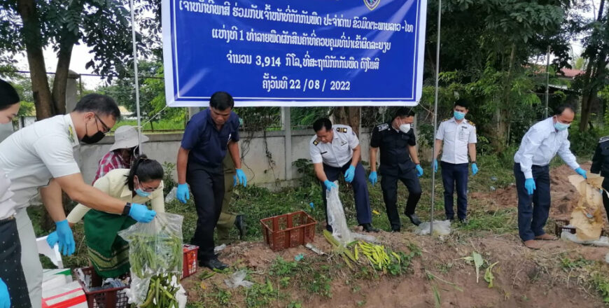 ເຈົ້າໜ້າທີ່ກັກກັນພືດ ປະຈໍາດ່ານຂົວມິດຕະພາບລາວ-ໄທ ແຫ່ງທີ 1 ທໍາລາຍພືດຜັກທີ່ນໍາເຂົ້າຜິດລະບຽບກົດໝາຍ ຈຳນວນ 3,9 ກວ່າໂຕນ ເຈົ້າໜ້າທີ່ກັກກັນພືດ ປະຈໍາດ່ານຂົວມິດຕະພາບລາວ-ໄທ ແຫ່ງທີ 1 ທໍາລາຍພືດຜັກທີ່ນໍາເຂົ້າຜິດລະບຽບກົດໝາຍ ຈຳນວນ 3,9 ກວ່າໂຕນ