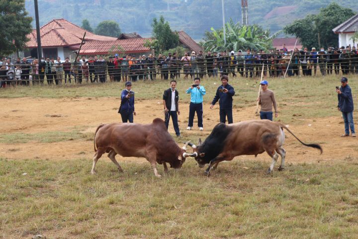 ໄຊສົມບູນ ຈັດງານແຂ່ງຂັນກິລາງົວຊົນ, ຕີໝາກຄ່າງ ແລະ ຍິງໜ້າເກັກ ເພື່ອສະຫລອງພິທີສົມໂພດຫໍຫລັກເມືອງ, ຮູບປັ້ນຫລໍ່ເຈົ້າອະນຸວົງ ຕິດພັນສົ່ງເສີມການທ່ອງທ່ຽວ