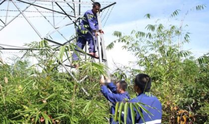 ຈັບຜູ້ກໍ່່ເຫດລັກເຫລັກເສົາໄຟຟ້າ ຢູ່ແຂວງບໍລິຄຳໄຊ ມູນຄ່າຄວາມເສຍຫາຍຫລາຍກວ່າ 200 ລ້ານກີບ
