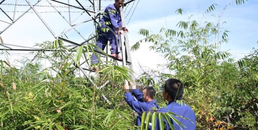 ຈັບຜູ້ກໍ່່ເຫດລັກເຫລັກເສົາໄຟຟ້າ ຢູ່ແຂວງບໍລິຄຳໄຊ ມູນຄ່າຄວາມເສຍຫາຍຫລາຍກວ່າ 200 ລ້ານກີບ ຈັບຜູ້ກໍ່່ເຫດລັກເຫລັກເສົາໄຟຟ້າ ຢູ່ແຂວງບໍລິຄຳໄຊ ມູນຄ່າຄວາມເສຍຫາຍຫລາຍກວ່າ 200 ລ້ານກີບ