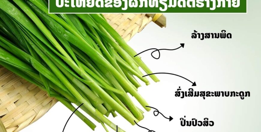 6 ປະໂຫຍດຂອງຜັກທຽມທີ່ດີຕໍ່ຮ່າງກາຍ