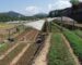 ຊາວກະສິກອນ ແຂວງອຸດົມໄຊ ປູກຜັກໃນໂຮງເຮືອນເຮັດໃຫ້ຊີວິດການເປັນຢູ່ທີ່ດີ ມີລາຍຮັບ 80 ລ້ານຕໍ່ປີ