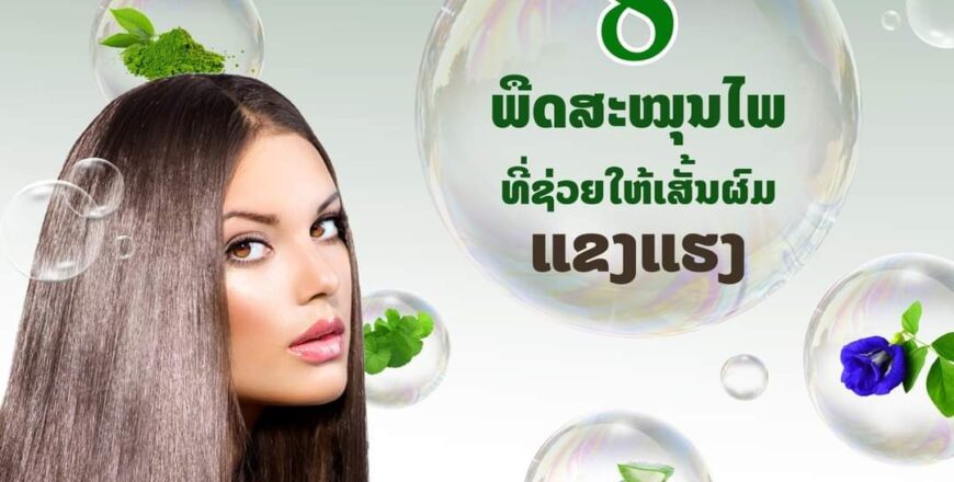 8 ພືດສະໝຸນໄພທີ່ຊ່ວຍໃຫ້ເສັ້ນຜົມແຂງແຮງ