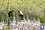 ຈີນປະກາດເຕືອນໄພແລ້ງຫລາຍພາກໃນປະເທດ