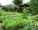 ການຜະລິດພາຍໃນ ແລະ ການສະກັດກັ້ນການນຳເຂົ້າ ເປັນບັນຫາທີ່ຜູ້ແທນ ສ່ອງແສງຫລາຍທີ່ສຸດ ການຜະລິດພາຍໃນ ແລະ ການສະກັດກັ້ນການນຳເຂົ້າ ເປັນບັນຫາທີ່ຜູ້ແທນ ສ່ອງແສງຫລາຍທີ່ສຸດ