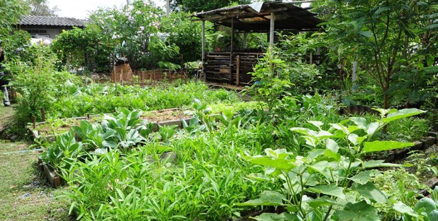 ການຜະລິດພາຍໃນ ແລະ ການສະກັດກັ້ນການນຳເຂົ້າ ເປັນບັນຫາທີ່ຜູ້ແທນ ສ່ອງແສງຫລາຍທີ່ສຸດ