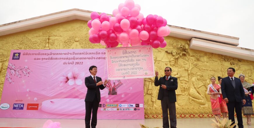 ຮັບຮອງ ດອກຄາຍປ່າ ຫຼື ເອີ້ນວ່າ: “ດອກພັນພະນາ” ເປັນດອກໄມ້ເອກະລັກປະຈຳແຂວງຫົວພັນ ຮັບຮອງ ດອກຄາຍປ່າ ຫຼື ເອີ້ນວ່າ: “ດອກພັນພະນາ” ເປັນດອກໄມ້ເອກະລັກປະຈຳແຂວງຫົວພັນ