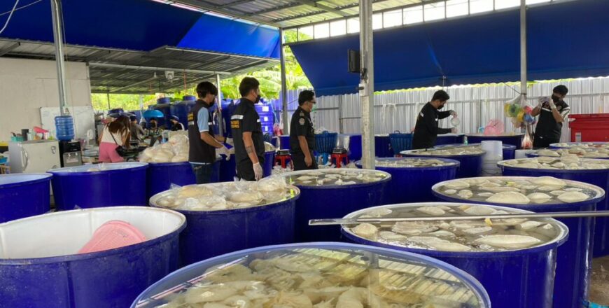 ເຈົ້າໜ້າທີ່ໄທ ບຸກຍຶດເຄື່ອງໃນ-ຊີ້ນສັດ ແຊ່ສານຟໍມາລິນ ເພື່ອສົ່ງຂາຍໃຫ້ຮ້ານຊີ້ນດາດ ແລະ ຮ້ານອາຫານອີສານ