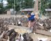 ລາວ ເຈລະຈາສົ່ງອອກພືດກະສິກຳໄປຕ່າງປະເທດ ໃຫ້ໄດ້ຢ່າງໜ້ອຍ 15 ຊະນິດ ໃນປີ 2023