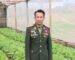 ກອງພັນນ້ອຍ 414 ທະຫານແຂວງອຸດົມໄຊ ສຸມໃສ່ການປູກຝັງ-ລ້ຽງສັດ ສ້າງລາຍຮັບເຂົ້າກົມກອງ