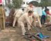 ປກສ ເມືອງສາມັກຄີໄຊ ທຳລາຍອາວຸດລ່າເນື້ອ, ເຄື່ອງມືຫາປາ ແລະ ພາຫະນະທີ່ຖືກດັດແປງ ຫລາຍກວ່າ 500 ລາຍການ