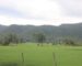 ການຕັ້ງເປົ້າໝາຍໃຫ້ເນື້ອທີ່ປົກຫຸ້ມສີຂຽວ ກວມ 70% ຍັງເປັນສິ່ງທ້າທາຍ ຍ້ອນຍັງ ມີເຫດການໄຟໄໝ້ ແລະ ບຸກລຸກປ່າ ການຕັ້ງເປົ້າໝາຍໃຫ້ເນື້ອທີ່ປົກຫຸ້ມສີຂຽວ ກວມ 70% ຍັງເປັນສິ່ງທ້າທາຍ ຍ້ອນຍັງ ມີເຫດການໄຟໄໝ້ ແລະ ບຸກລຸກປ່າ