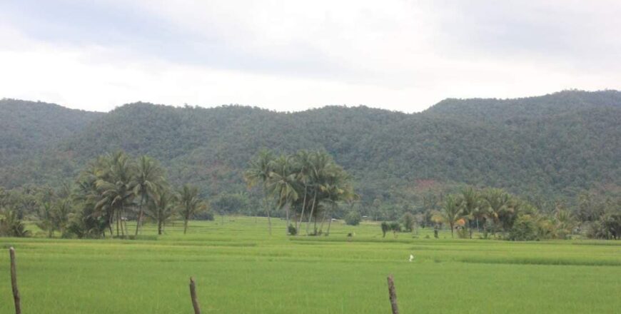 ການຕັ້ງເປົ້າໝາຍໃຫ້ເນື້ອທີ່ປົກຫຸ້ມສີຂຽວ ກວມ 70% ຍັງເປັນສິ່ງທ້າທາຍ ຍ້ອນຍັງ ມີເຫດການໄຟໄໝ້ ແລະ ບຸກລຸກປ່າ