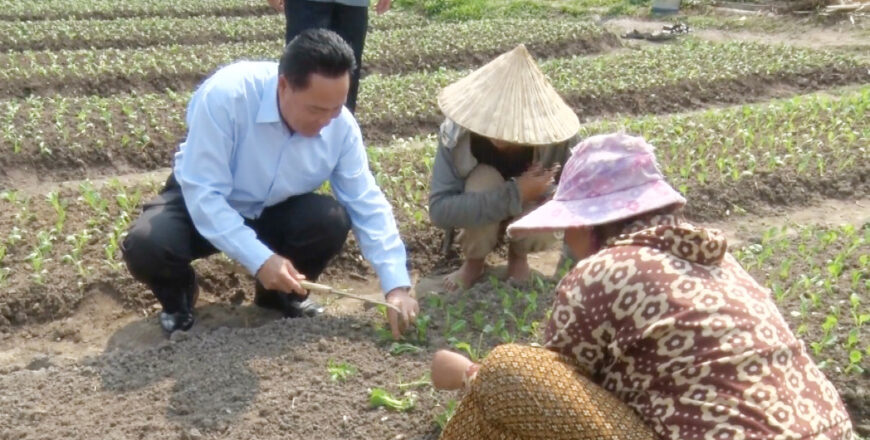 ເຈົ້າແຂວງບໍລິຄຳໄຊ ລົງຊຸກຍູ້ສົ່ງເສີມກຸ່ມປູກຜັກອິນຊີຢູ່ບ້ານນາຫາດ ເພື່ອສ້າງລາຍຮັບໃຫ້ແກ່ປະຊາຊົນ ເຈົ້າແຂວງບໍລິຄຳໄຊ ລົງຊຸກຍູ້ສົ່ງເສີມກຸ່ມປູກຜັກອິນຊີຢູ່ບ້ານນາຫາດ ເພື່ອສ້າງລາຍຮັບໃຫ້ແກ່ປະຊາຊົນ