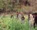 ຊຽງຂວາງທຳລາຍສວນຝິ່ນ 10 ຕອນເນື້ອທີ່ ເກືອບ 2 ພັນຕາແມັດ