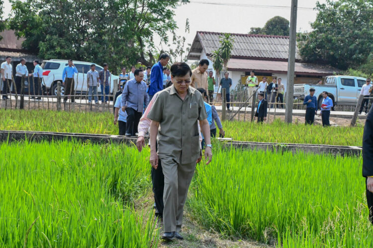ປະທານປະເທດ ລົງຊຸກຍູ້ການຜະລິດເປັນສິນຄ້າຢູ່ເມືອງໂຂງ ເພື່ອສ້າງຖານລາຍຮັບໃຫ້ເຂັ້ມແຂງ ແລະ ຍືນຍົງ