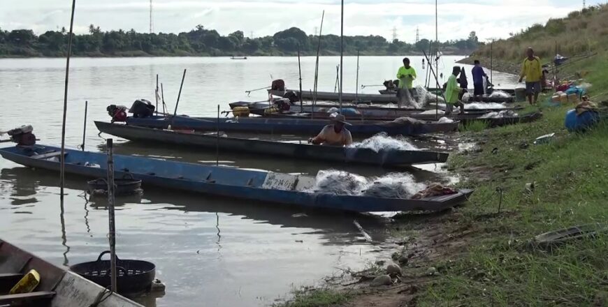 ແມ່ນໍ້າຂອງມີການຫາປາຫລາຍອັນດັບ 3 ຂອງໂລກ ແຕ່ມີການຫາປາຫລາຍທີ່ສຸດໃນໂລກ ປະມານ 2,3 ລ້ານໂຕນຕໍ່ປີ