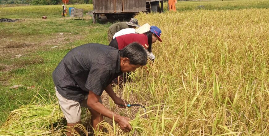 ສິບຕົ້ນຫຼ້າ ບໍ່ທໍ່ ຫ້າຕົ້ນຫົວປີ