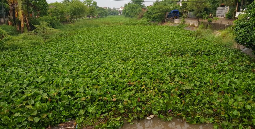 ຄວນກຳຈັດຮື້ຖອນອອກແຕ່ຫົວທີ ກ່ອນຈະມີນ້ຳຖ້ວມອັ່ງຂັງໃນຕົວເມືອງ ຄວນກຳຈັດຮື້ຖອນອອກແຕ່ຫົວທີ ກ່ອນຈະມີນ້ຳຖ້ວມອັ່ງຂັງໃນຕົວເມືອງ