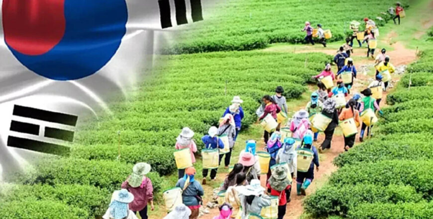 ພະແນກແຮງງານ ແຂວງວຽງຈັນ ແຈ້ງຮັບສະໝັກແຮງງານລາວເມືອງໂພນໂຮງ ໄປເຮັດວຽກຕາມລະດູການຢູ່ ສ.ເກົາຫລີ