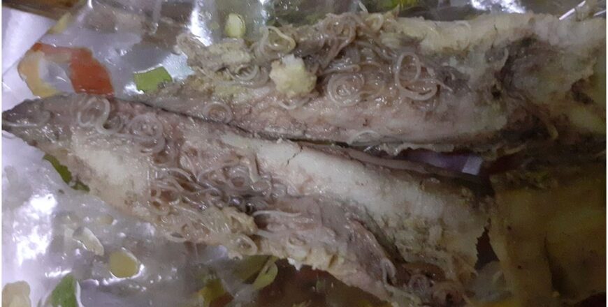 ແພດໄທເຕືອນ! ພົບແມ່ທ້ອງຢູ່ໃນ ປາຊາບະ ມີລັກສະນະຄ້າຍຄືຫົວສີໃຄຊອຍ ກ່ອນຈະນຳມາກິນຄວນທຳຄວາມສະອາດໃຫ້ດີ ແພດໄທເຕືອນ! ພົບແມ່ທ້ອງຢູ່ໃນ ປາຊາບະ ມີລັກສະນະຄ້າຍຄືຫົວສີໃຄຊອຍ ກ່ອນຈະນຳມາກິນຄວນທຳຄວາມສະອາດໃຫ້ດີ
