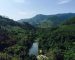 ນາຍົກອອກຄຳສັ່ງ ໃຫ້ເພີ່ມທະວີຄວາມເຂັ້ມງວດຄຸ້ມຄອງ, ປົກປັກຮັກສາ, ພັດທະນາ ແລະ ນໍາໃຊ້ປ່າໄມ້, ທີ່ດິນປ່າໄມ້, ຕ້ານ ແລະ ສະກັດກັ້ນ ການບຸກລຸກທຳລາຍປ່າໄມ້, ທີ່ດິນປ່າໄມ້ ແລະ ໄຟໄໝ້ລາມປ່າ ນາຍົກອອກຄຳສັ່ງ ໃຫ້ເພີ່ມທະວີຄວາມເຂັ້ມງວດຄຸ້ມຄອງ, ປົກປັກຮັກສາ, ພັດທະນາ ແລະ ນໍາໃຊ້ປ່າໄມ້, ທີ່ດິນປ່າໄມ້, ຕ້ານ ແລະ ສະກັດກັ້ນ ການບຸກລຸກທຳລາຍປ່າໄມ້, ທີ່ດິນປ່າໄມ້ ແລະ ໄຟໄໝ້ລາມປ່າ