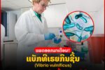 ແພດອອກມາເຕືອນ ແບັກທີເຣຍກິນຊີ້ນ ອັນຕະລາຍເຖິງຂັ້ນເສຍຊີວິດ