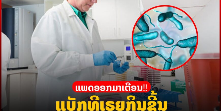 ແພດອອກມາເຕືອນ ແບັກທີເຣຍກິນຊີ້ນ ອັນຕະລາຍເຖິງຂັ້ນເສຍຊີວິດ ແພດອອກມາເຕືອນ ແບັກທີເຣຍກິນຊີ້ນ ອັນຕະລາຍເຖິງຂັ້ນເສຍຊີວິດ