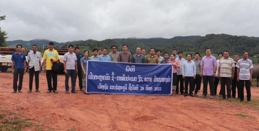 ເປີດຕະຫລາດນັດ ຊື້-ຂາຍ ສັດປະເພດ ງົວ-ຄວາຍ ຢູ່ຕະຫລາດບ້ານນາຍາງຄໍາ ເມືອງເງິນ