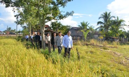 ນາຍົກລັດຖະມົນຕີເຄື່ອນໄຫວຊຸກຍູ້ວຽກງານເສດຖະກິດຢູ່ແຂວງອັດຕະປື