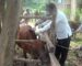 ເມືອງພຽງ ເປີດຂະບວນການ 3 ວັນກະສິກຳ ເພື່ອສົ່ງເສີມການລ້ຽງ ແລະ ການປູກ ເມືອງພຽງ ເປີດຂະບວນການ 3 ວັນກະສິກຳ ເພື່ອສົ່ງເສີມການລ້ຽງ ແລະ ການປູກ