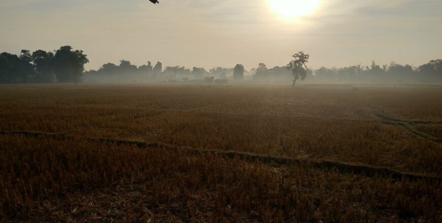 ຈະມີຝົນຕົກໃນລະດັບຄ່ອຍຢູ່ບາງທ້ອງຖິ່ນ ແຕ່ລະພາກ ແລະ ຈະສືບຕໍ່ເຢັນ ຫາ ໜາວເຢັນ  ພ້ອມມີໝອກບາງປົກຫຸ້ມຢູ່ທົ່ວ