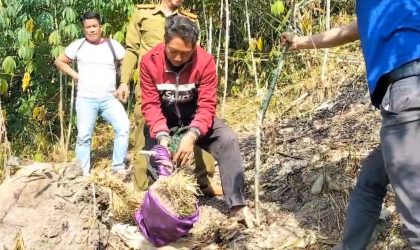 ກໍ່ເຫດຄາຕະກຳແຟນສາວ ແລ້ວຊຸກເຊື່ອງໄວ້ສວນມັນຕົ້ນ ຍ້ອນປະຕິເສດບໍ່ຍອມຮ່ວມເພດນຳ