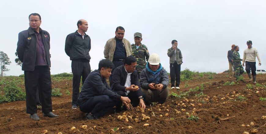 ບໍລິສັດລົງທຶນຈາກຫວຽດນາມ ຄາດຄະເນຜົນຜະລິດມັນຝຣັ່ງ ຢູ່ແຂວງເຊກອງ ໄດ້ 500 ໂຕນຕໍ່ປີ ສົ່ງຂາຍພາຍໃນ ແລະ ຕ່າງປະເທດ ບໍລິສັດລົງທຶນຈາກຫວຽດນາມ ຄາດຄະເນຜົນຜະລິດມັນຝຣັ່ງ ຢູ່ແຂວງເຊກອງ ໄດ້ 500 ໂຕນຕໍ່ປີ ສົ່ງຂາຍພາຍໃນ ແລະ ຕ່າງປະເທດ