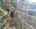 ຕຳຫລວດດ່ານ ຕມ ລາວ-ຈີນ ກວດກາລາດຕະເວນເສັ້ນຊາຍແດນໃຫ້ມີຄວາມສະຫງົບປອດໄພ ແລະ ເຜີຍແຜ່ລະບຽບການເຂົ້າ-ອອກເມືອງ ຕຳຫລວດດ່ານ ຕມ ລາວ-ຈີນ ກວດກາລາດຕະເວນເສັ້ນຊາຍແດນໃຫ້ມີຄວາມສະຫງົບປອດໄພ ແລະ ເຜີຍແຜ່ລະບຽບການເຂົ້າ-ອອກເມືອງ