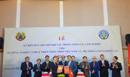 ລາວ-ຫວຽດນາມ ສັນຍາຮ່ວມມື ໃນ 5 ຂົງເຂດ ຂອງຂະແໜງການດ້ານວຽກງານປ່າໄມ້