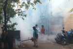 ອົງການອະນາໄມໂລກເຕືອນຄວາມສ່ຽງພະຍາດໄຂ້ເລືອດອອກ ທົ່ວໂລກຕິດເຊື້ອສະສົມຫລາຍກວ່າ 5 ລ້ານຄົນໃນປີນີ້