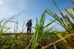 ມາເລເຊຍອອກມາດຕະການສຸກເສີນ ຮັບມືຄື້ນຄວາມຮ້ອນເຖິງກາງເດືອນເມສາ