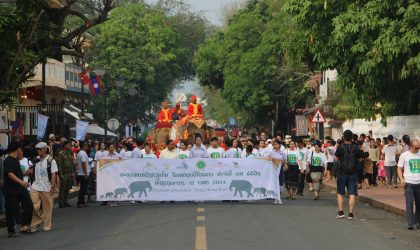ພິທີແຫ່ຊ້າງຮຽງເກີຍ ຢູ່ນະຄອນຫລວງພະບາງ ຕິດພັນກັບການສະເຫລີມສະຫລອງປີທ່ອງທ່ຽວລາວ ຢູ່ແຂວງຫລວງພະບາງ ຄຶກຄື້ນຫລາຍໃນປີນີ້