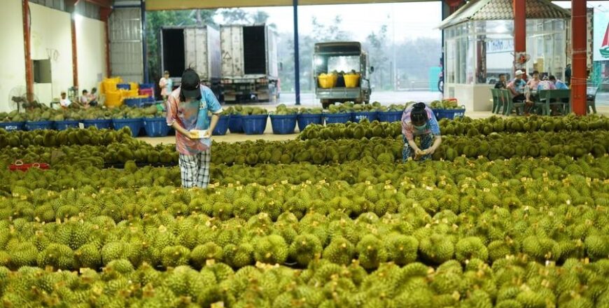 ADB ຄາດຄະເນ GDP ຂອງຫວຽດນາມ ເຕີບໃຫຍ່ 6% ໃນປີ 2024 ADB ຄາດຄະເນ GDP ຂອງຫວຽດນາມ ເຕີບໃຫຍ່ 6% ໃນປີ 2024