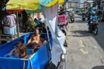 ຄື້ນຄວາມຮ້ອນປົກຄຸມຟີລິບປິນ ດັດຊະນີຄວາມຮ້ອນສູງເກືອບ 50 ອົງສາ