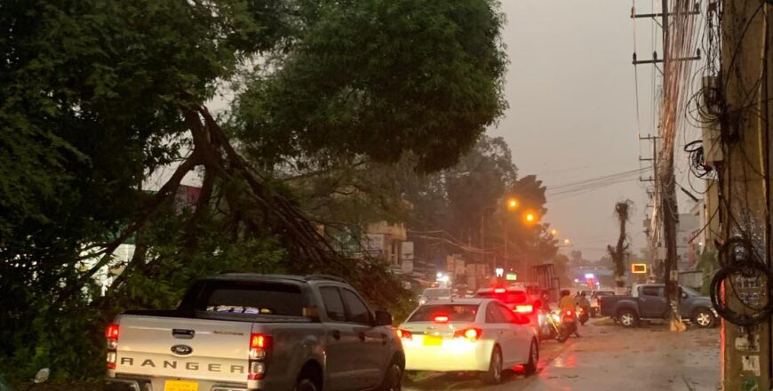 ເຕືອນ! ຈະມີຝົນຕົກ, ຟ້າຮ້ອງ, ຟ້າເຫລື້ອມ,ຟ້າຜ່າ, ໝາກເຫັບຕົກ ພ້ອມມີລົມພັດແຮງຢູ່ໃນແຕ່ລະພາກເນື້ອທີ່ປົກຫຸ້ມຂອງຝົນ 50%