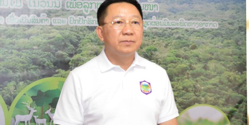 ປີ 2024 ລັດຖະບານ ມີແຜນປູກຕົ້ນໄມ້ 3.500 ເຮັກຕາ ໃນວັນປູກຕົ້ນໄມ້ແຫ່ງຊາດ ປີ 2024 ລັດຖະບານ ມີແຜນປູກຕົ້ນໄມ້ 3.500 ເຮັກຕາ ໃນວັນປູກຕົ້ນໄມ້ແຫ່ງຊາດ