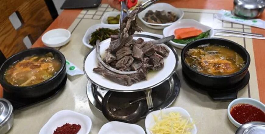 ກົດໝາຍກ່ຽວກັບຊີ້ນໝາເລີ່ມມີຜົນບັງຄັບໃຊ້ຢູ່ ສ.ເກົາຫລີ